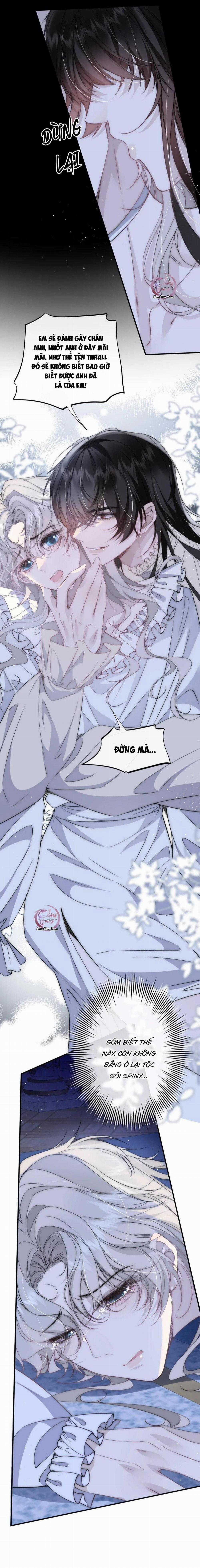 Tù Long Tuyết 15 trang 14