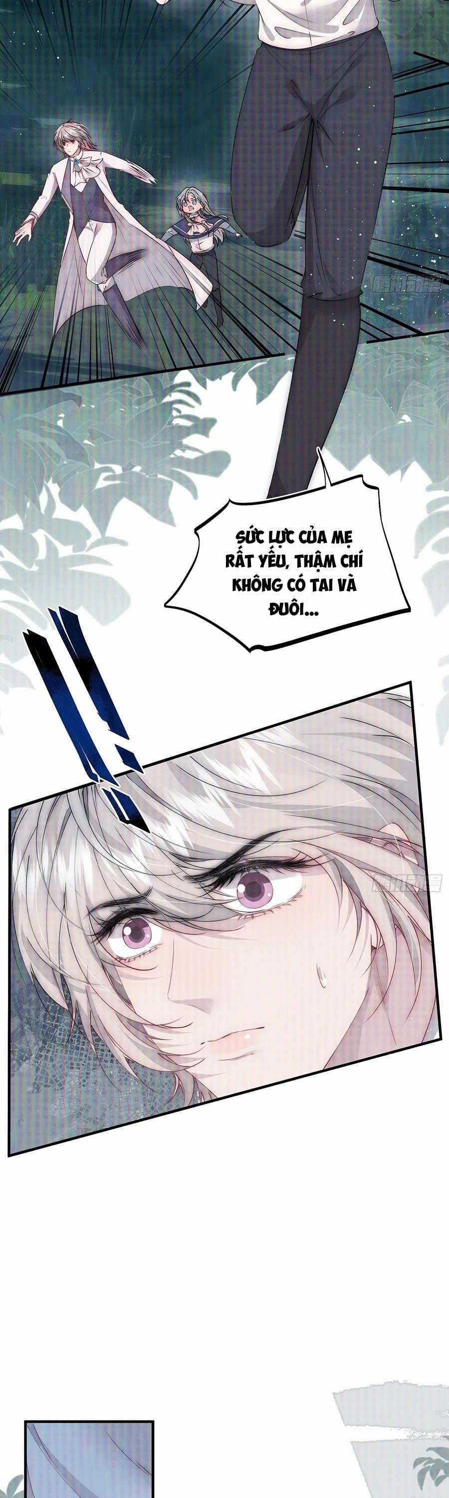 Tù Long Tuyết 8 trang 19