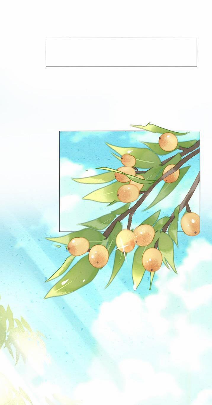 Tù Long 35 trang 27