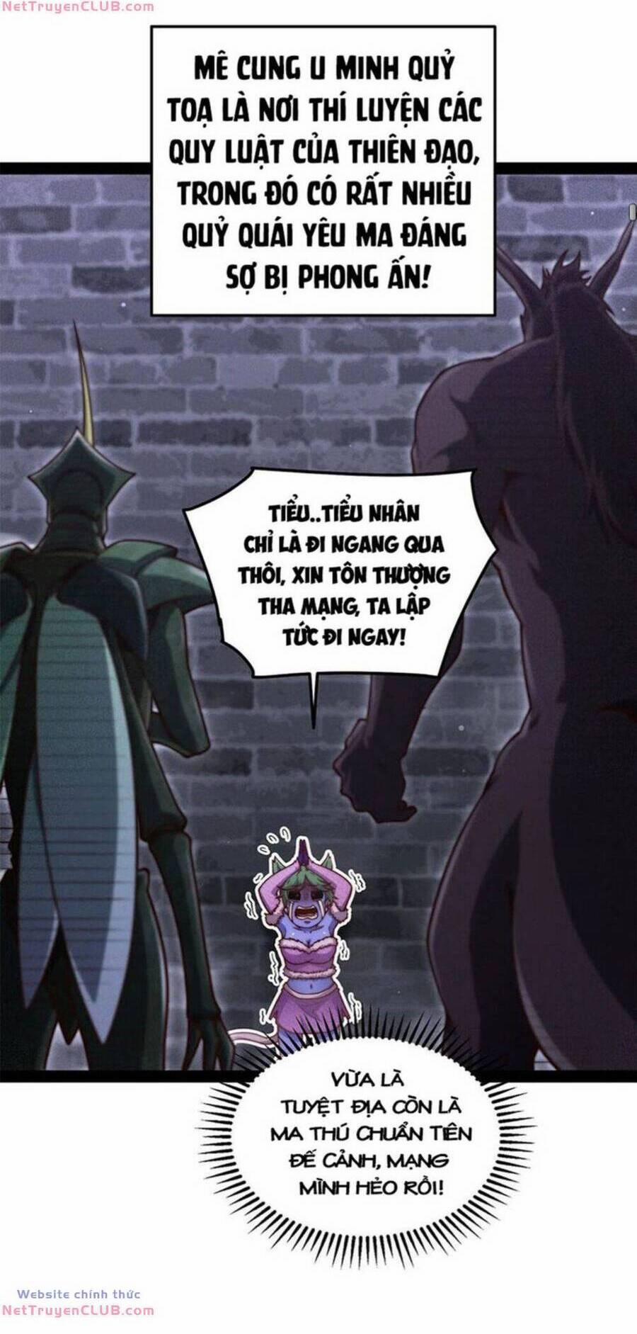 Từ Lúc Bắt Đầu Liền Vô Địch 114 trang 24