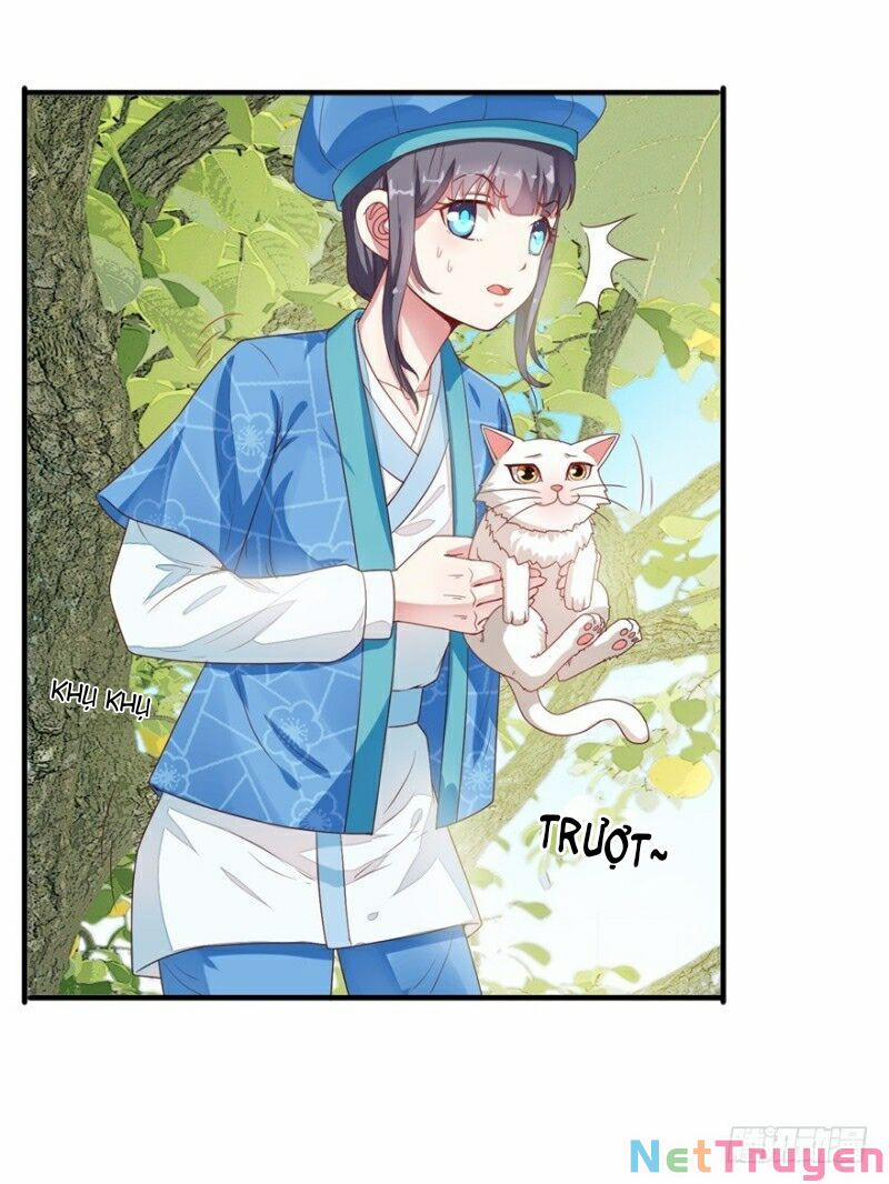 Tư Sủng Âm Dương Phi 10 trang 1