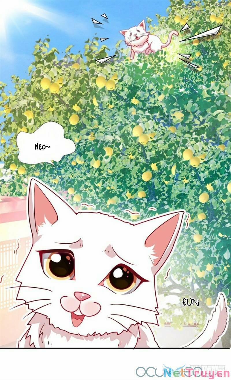 Tư Sủng Âm Dương Phi 9 trang 14