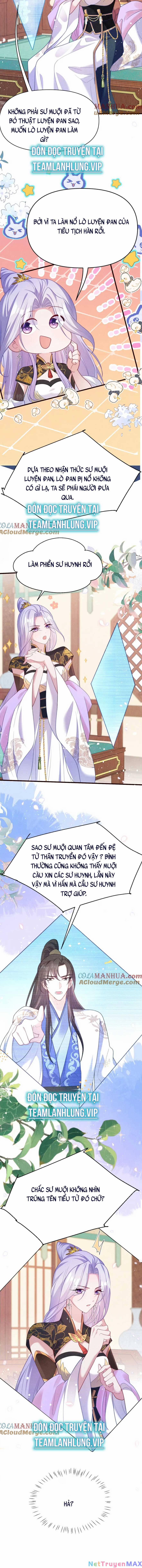 Tu Tiên Công Lược : Mở Đầu Ta Ngược Đãi Nam Chủ 11 trang 5