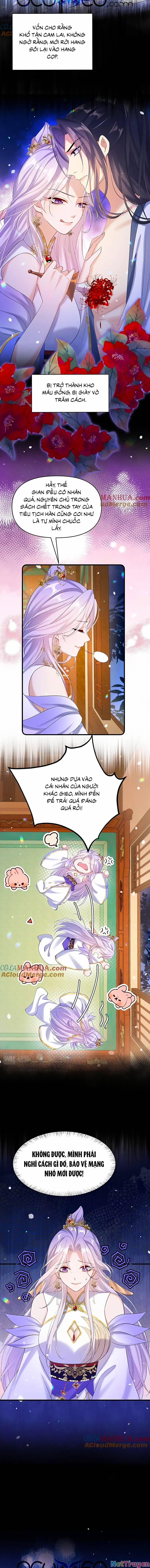 Tu Tiên Tấn Công: Khai Cục Ta Nỗ Loát Nam Chính Hảo Cảm Độ 3 trang 2