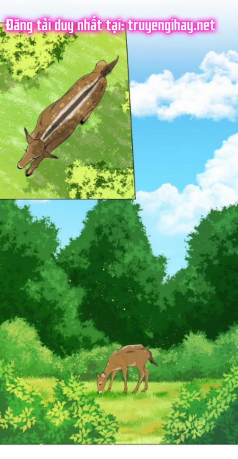 Từ Tiểu Thư Thành Hoàng Hậu – Lady To Queen 26.2 trang 1