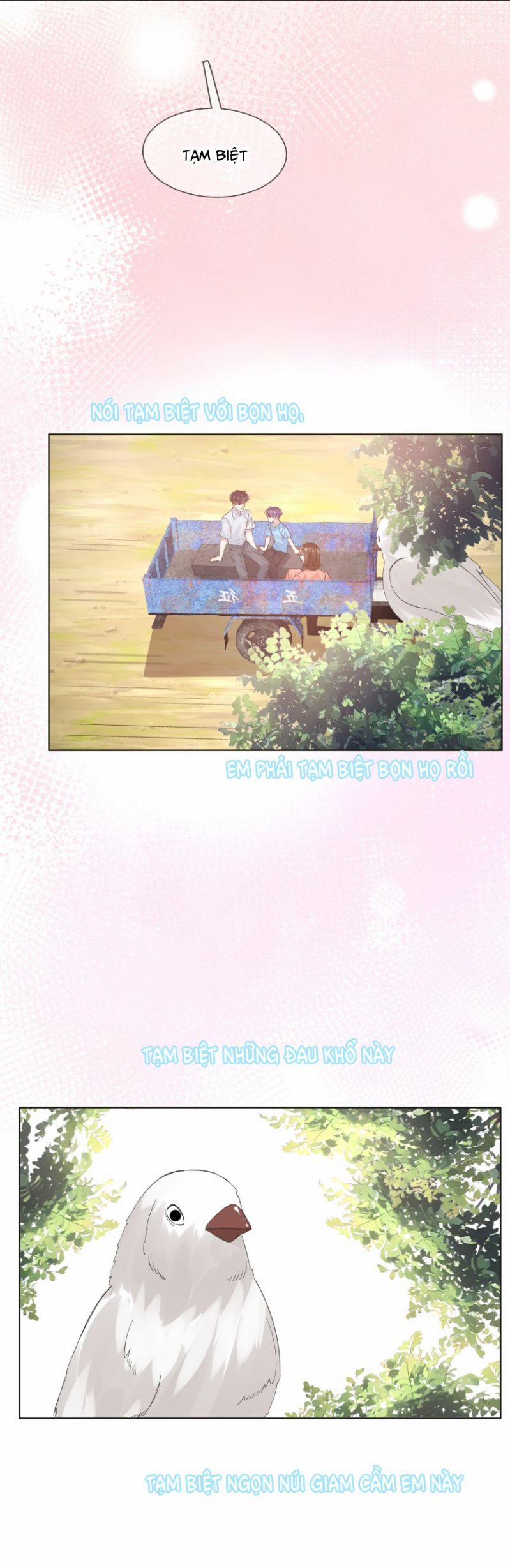 Tư Tự Vạn Thiên 20 trang 29