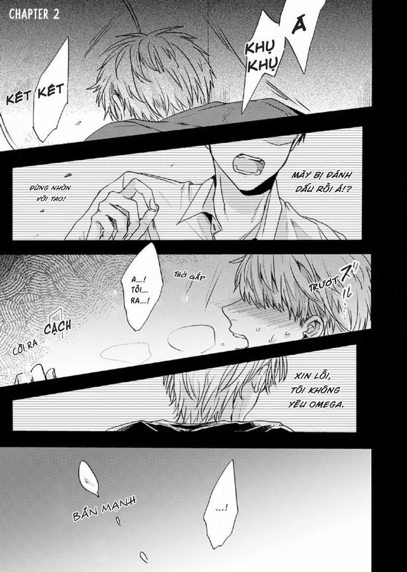 Từ Vết Cắn Cho Tới Mối Tình Đầu 2 trang 0