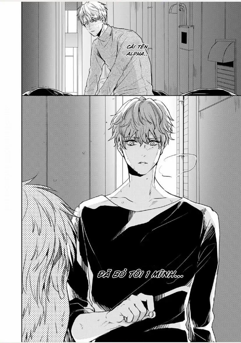 Từ Vết Cắn Cho Tới Mối Tình Đầu 2 trang 3