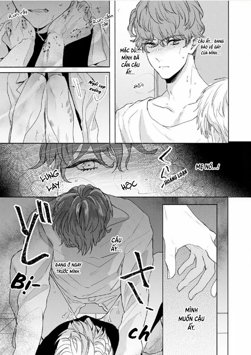 Từ Vết Cắn Cho Tới Mối Tình Đầu 3 trang 18