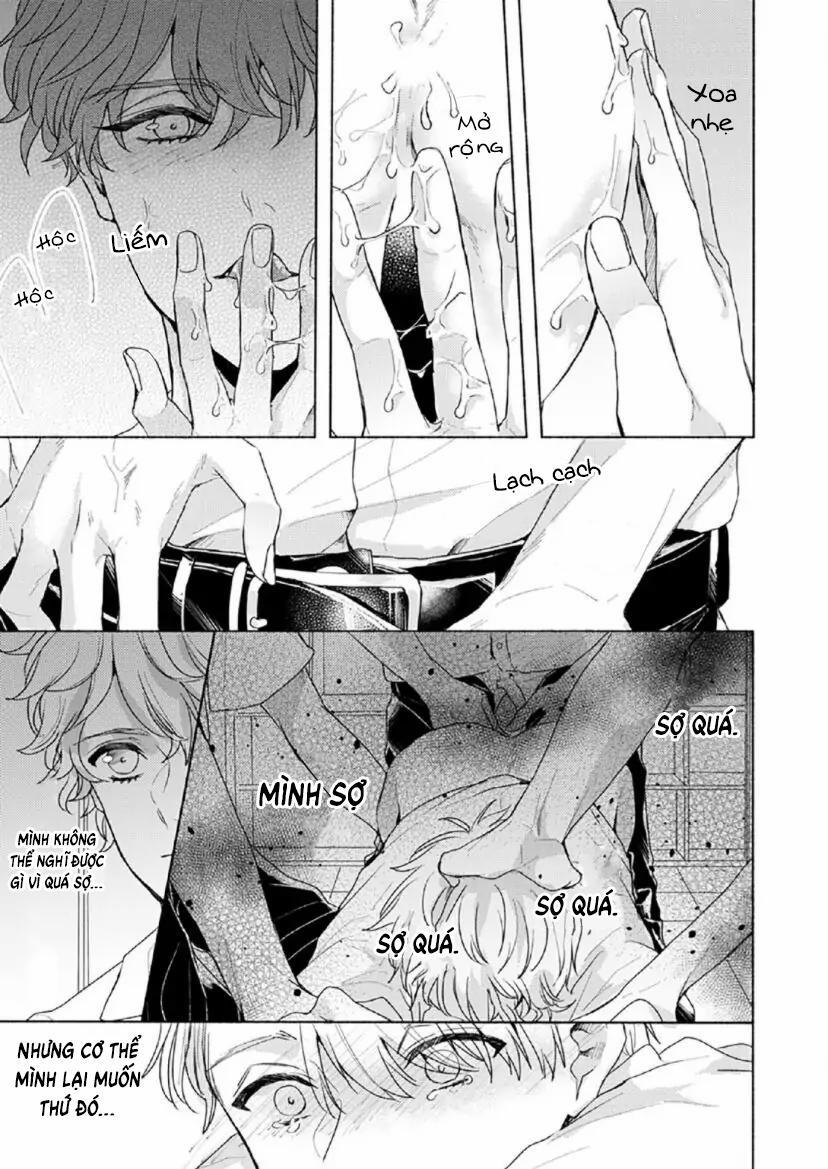 Từ Vết Cắn Cho Tới Mối Tình Đầu 4 trang 13