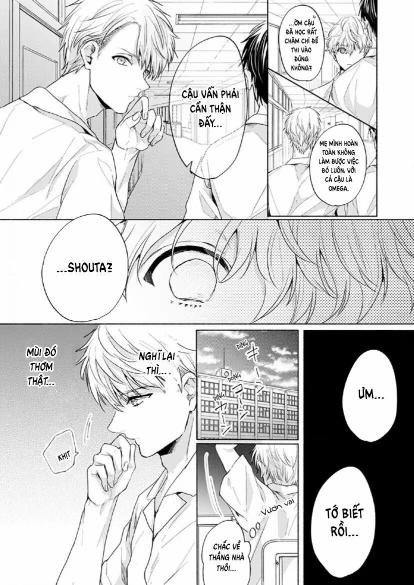 Từ Vết Cắn Cho Tới Mối Tình Đầu 4 trang 6