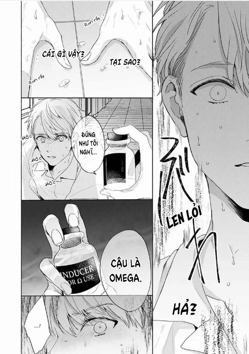 Từ Vết Cắn Cho Tới Mối Tình Đầu 4 trang 8