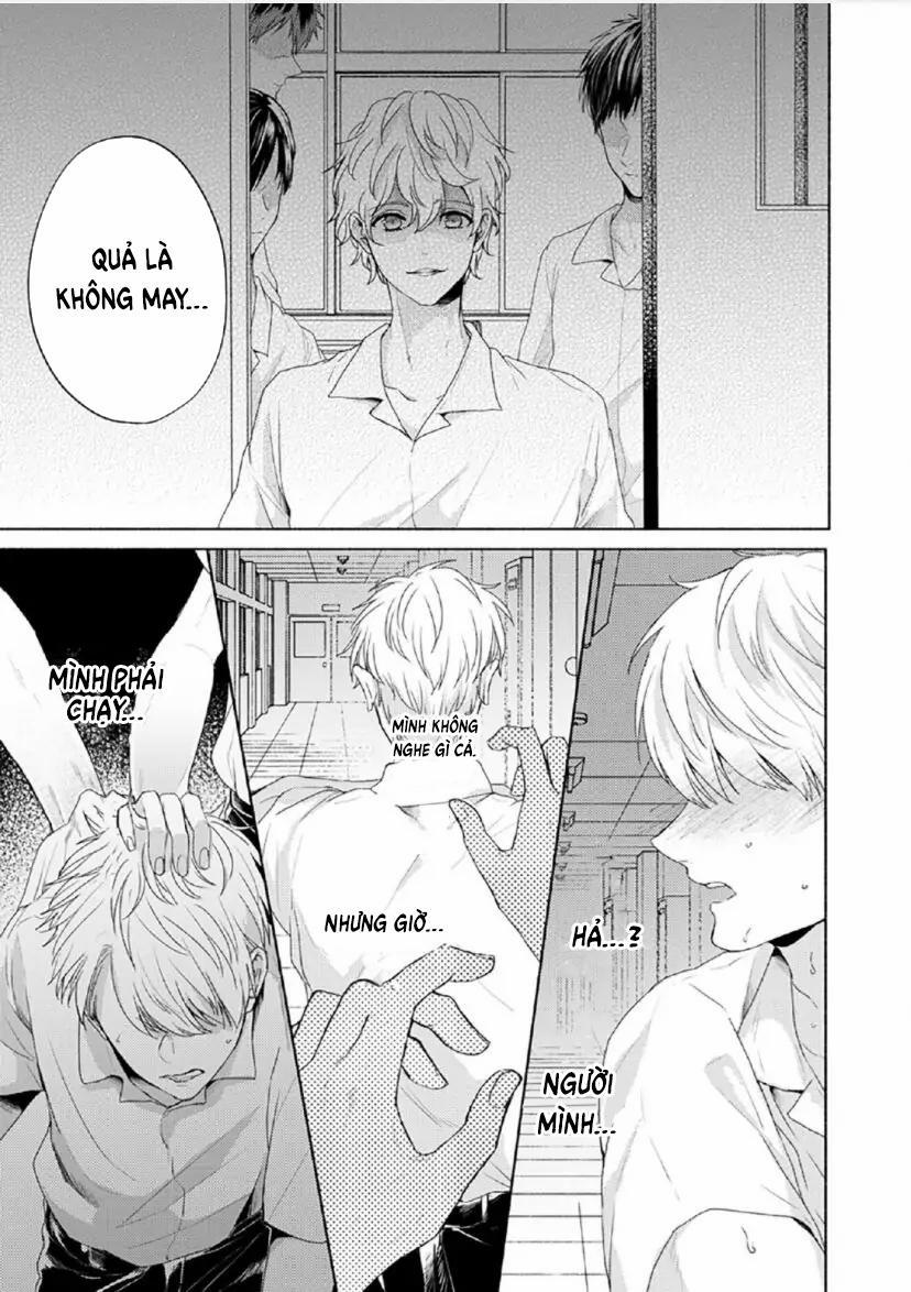 Từ Vết Cắn Cho Tới Mối Tình Đầu 4 trang 9