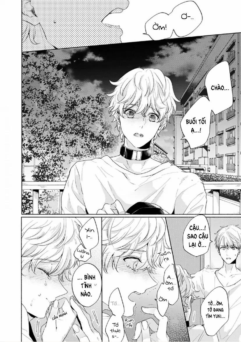 Từ Vết Cắn Cho Tới Mối Tình Đầu 5 trang 19