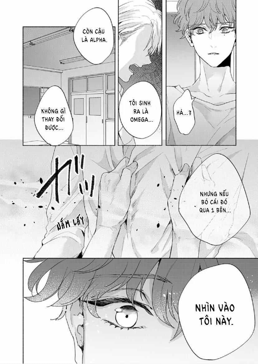 Từ Vết Cắn Cho Tới Mối Tình Đầu 6 trang 8