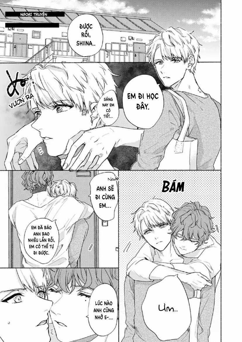 Từ Vết Cắn Cho Tới Mối Tình Đầu 8 trang 1