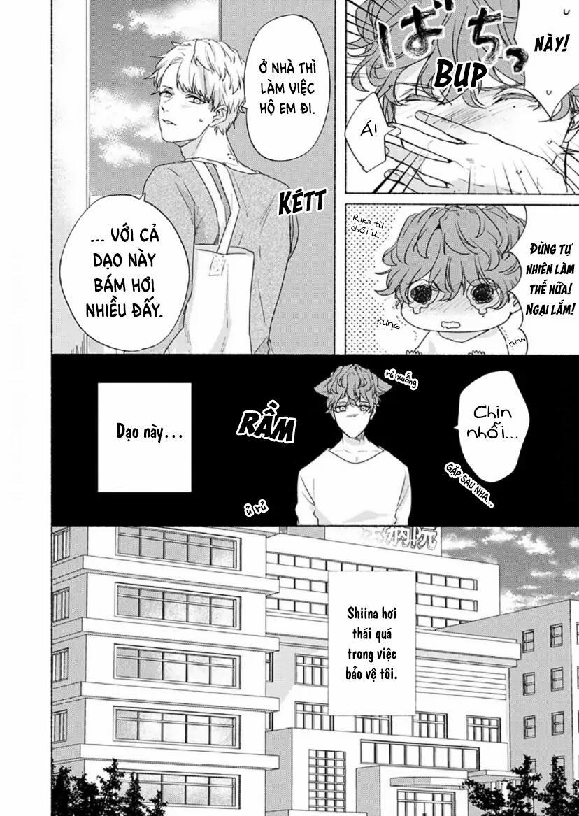 Từ Vết Cắn Cho Tới Mối Tình Đầu 8 trang 2