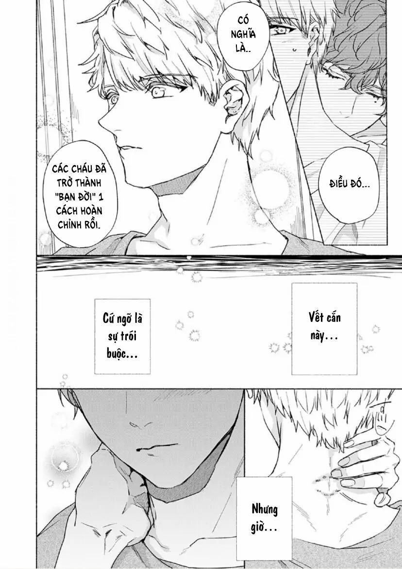 Từ Vết Cắn Cho Tới Mối Tình Đầu 8 trang 4