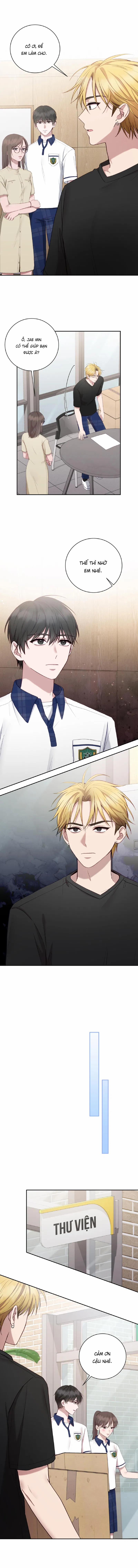 Từ Xã Hội Đen Tôi Trở Thành Một Học Sinh Trung Học 36 trang 8