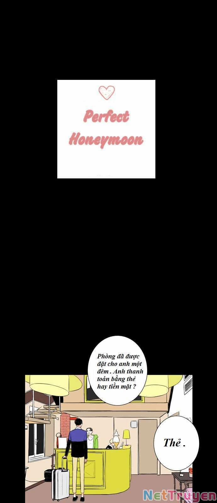 Tuần Trăng Mật Hoàn Hảo 7 trang 8