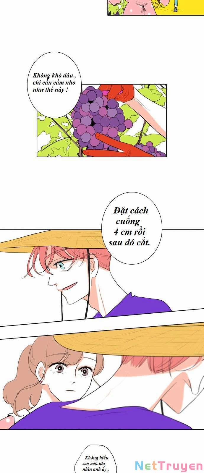 Tuần Trăng Mật Hoàn Hảo 8 trang 2