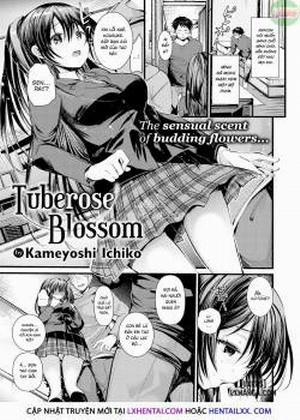 Đọc truyện tranh Tuberose Blossom