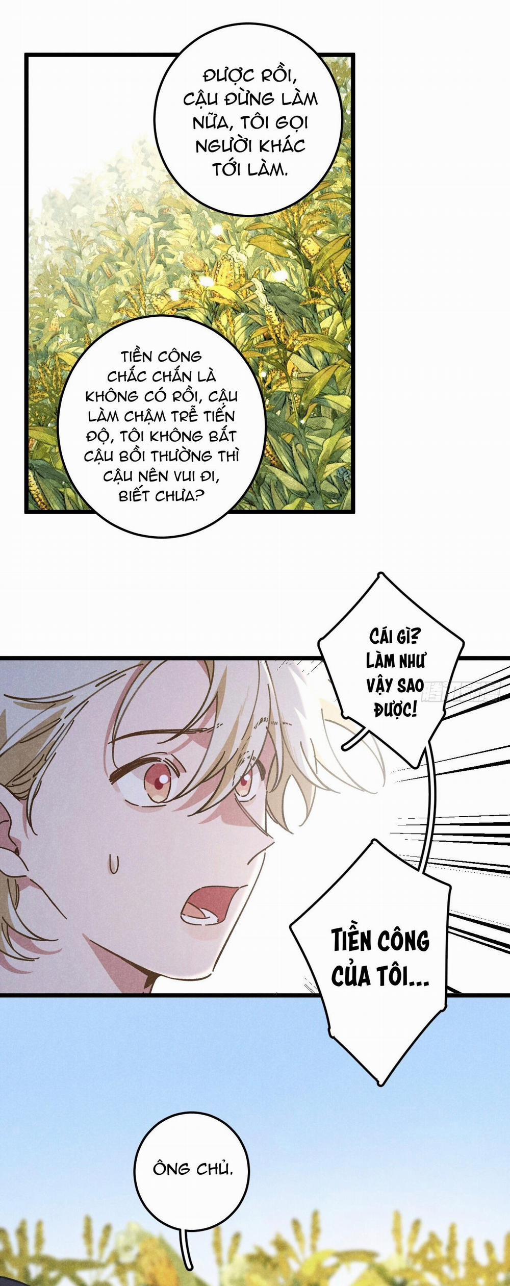 Tui Không Về Làm Ruộng Với Anh Đâu! 19 trang 10