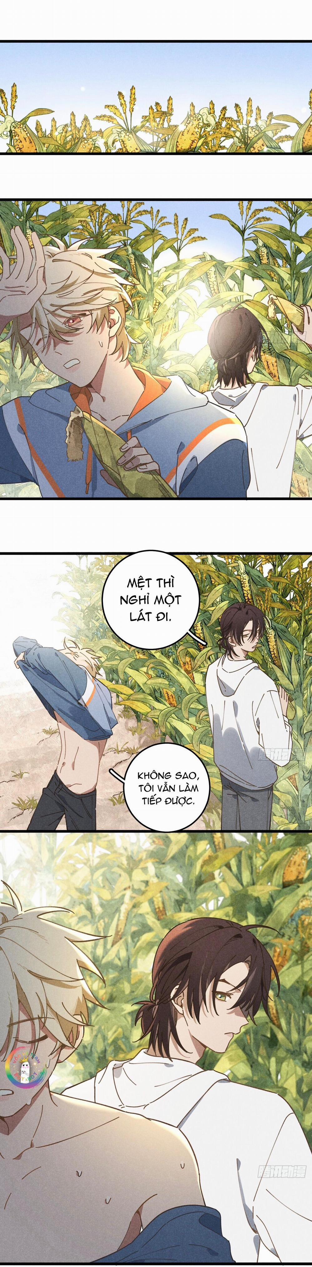 Tui Không Về Làm Ruộng Với Anh Đâu! 19 trang 13