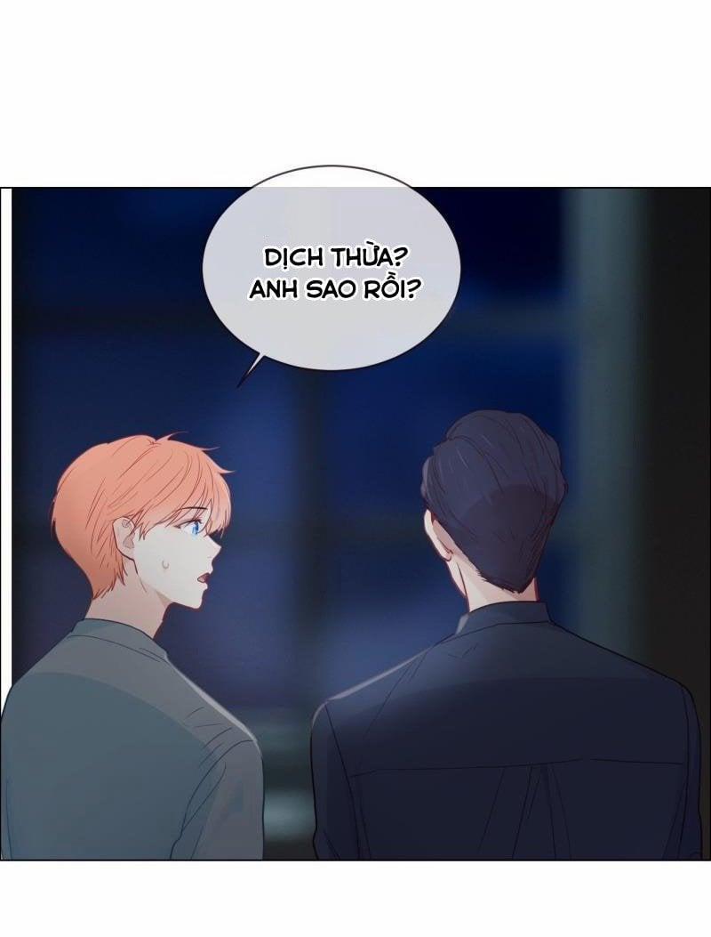 Tương Nhu Dịch Mộc 120 trang 13