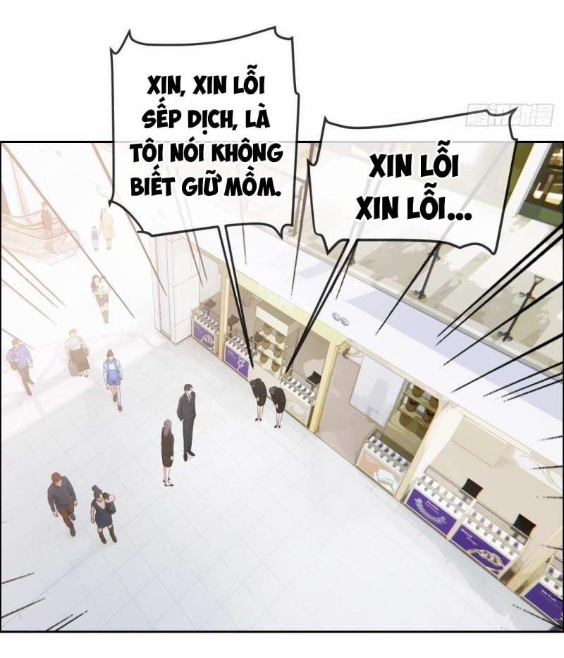 Tương Nhu Dịch Mộc 133 trang 11