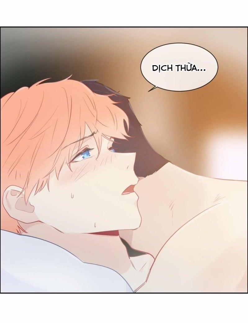 Tương Nhu Dịch Mộc 135 trang 24