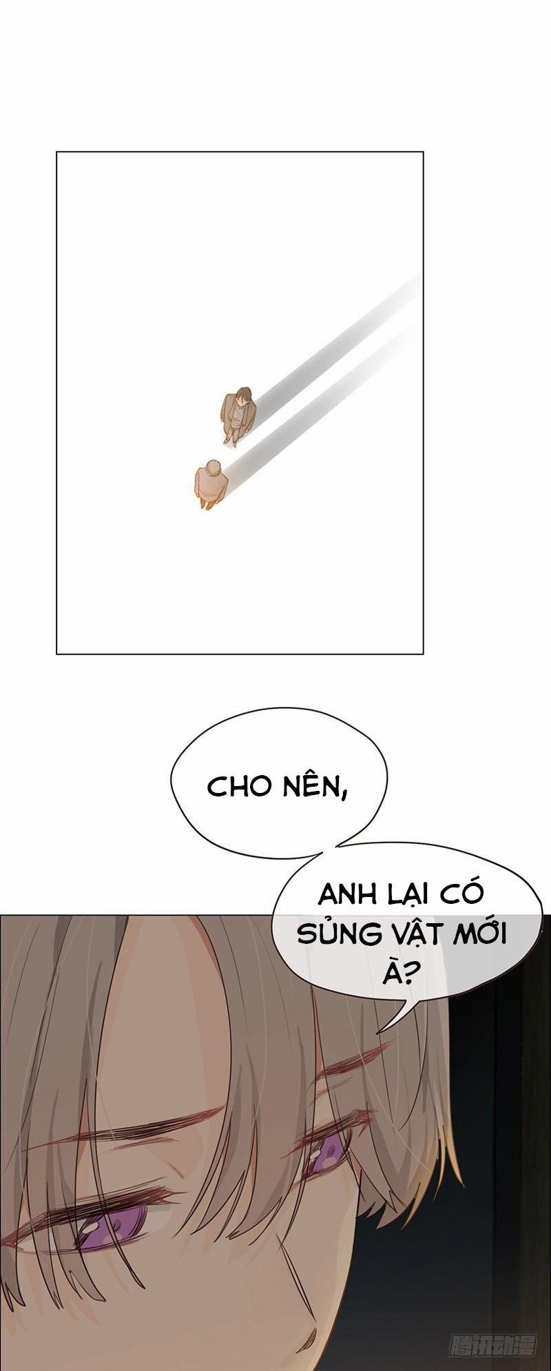 Tương Nhu Dịch Mộc 29 trang 17