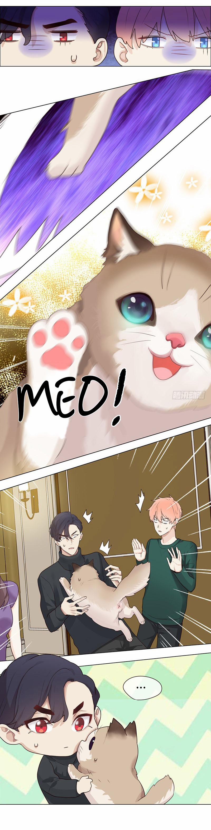 Tương Nhu Dịch Mộc 48 trang 13