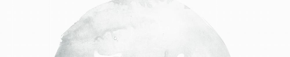 Tương Phùng 3 trang 246