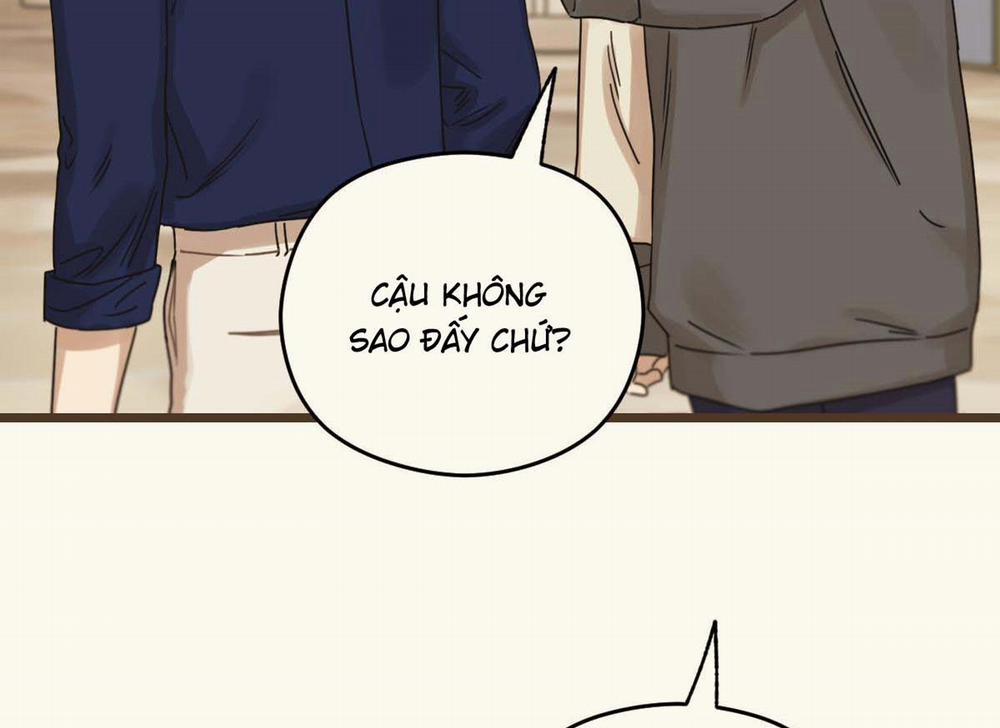 Tương Phùng 31 trang 229