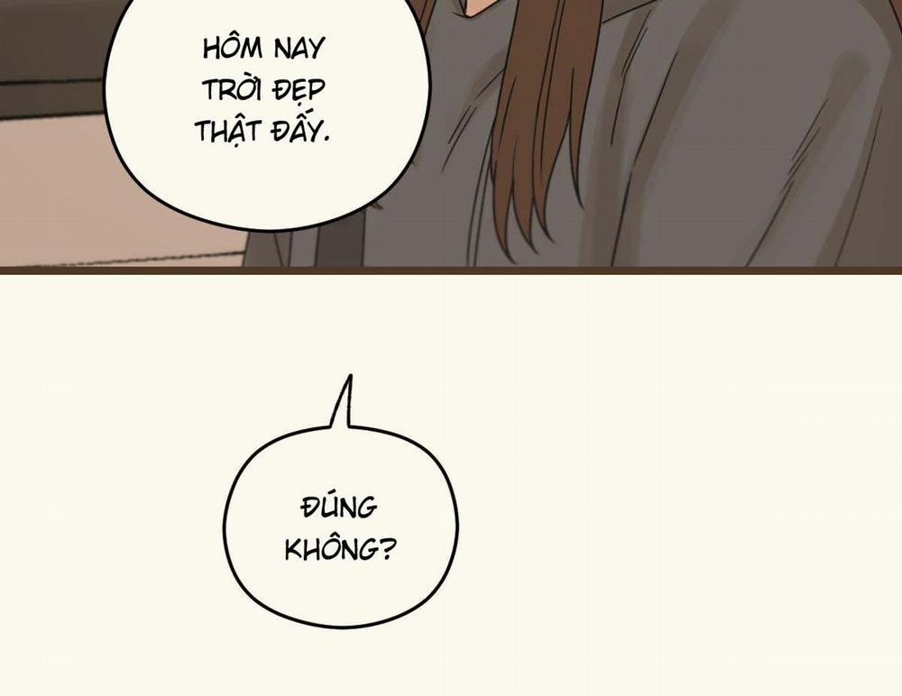 Tương Phùng 31 trang 248