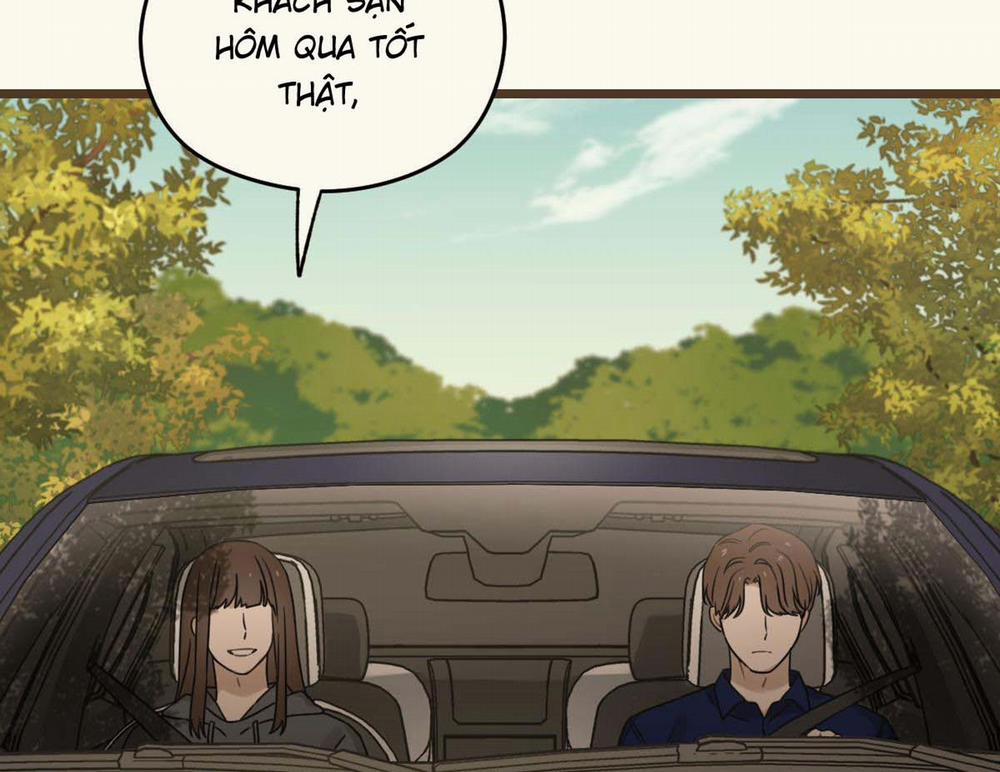 Tương Phùng 31 trang 254