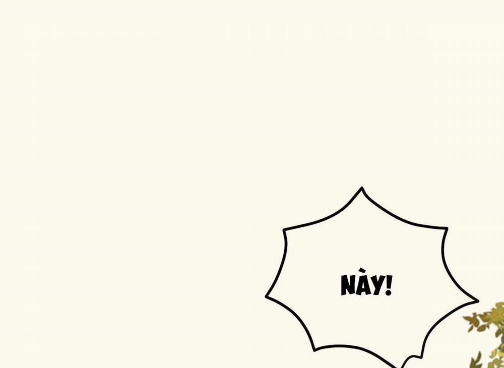 Tương Phùng 31 trang 314