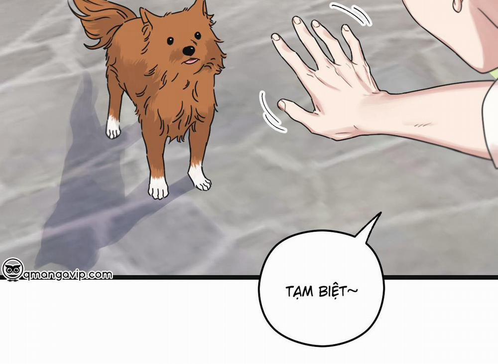 Tương Phùng 33 trang 96