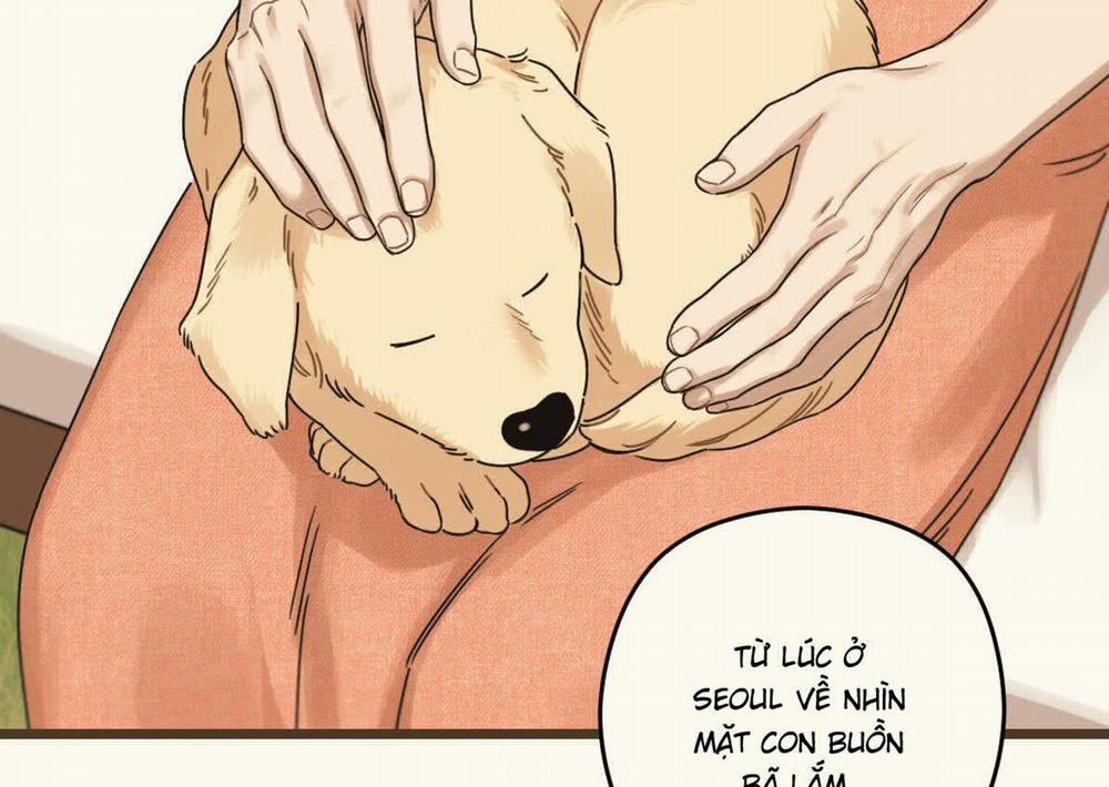 Tương Phùng 37 trang 104