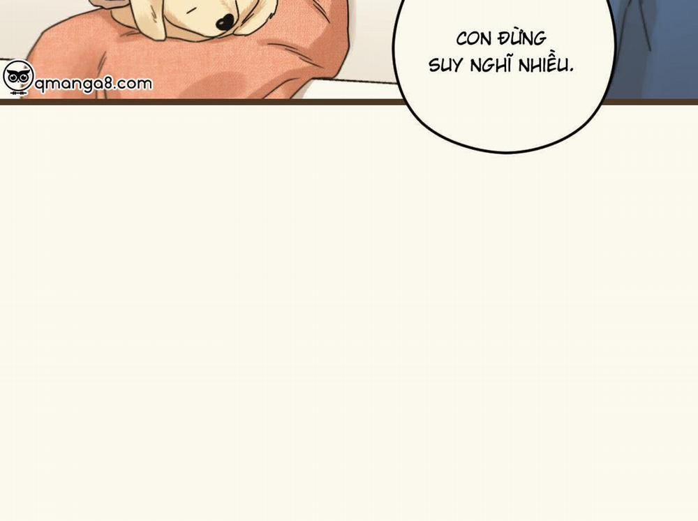 Tương Phùng 37 trang 125