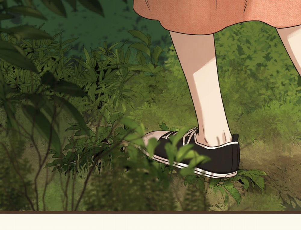 Tương Phùng 37 trang 225