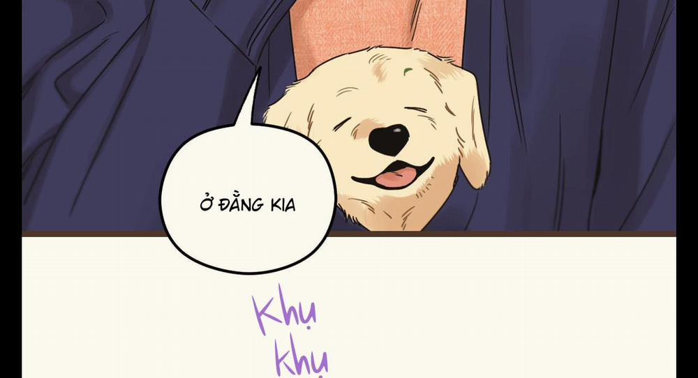 Tương Phùng 37 trang 246