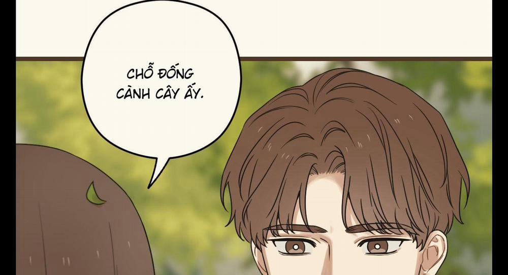 Tương Phùng 37 trang 248