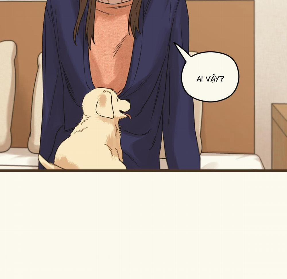 Tương Phùng 38 trang 15