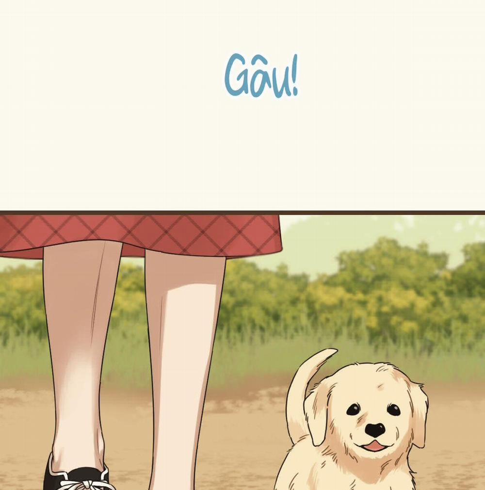 Tương Phùng 38 trang 65