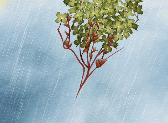 Tướng Quân, Cẩn Thận Chó Dữ 12 trang 70