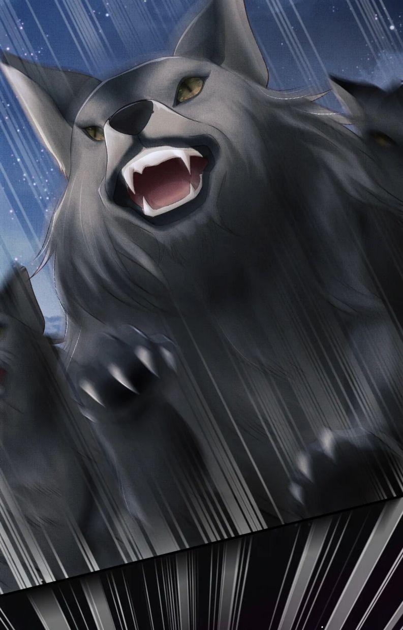 Tướng Quân Luôn Tự Coi Mình Là Thế Thân 45 trang 13