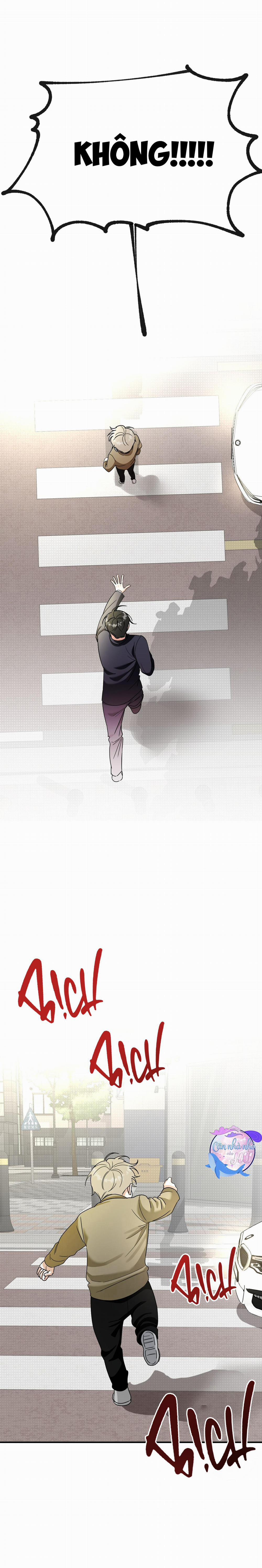 TURN OVER 5 trang 20