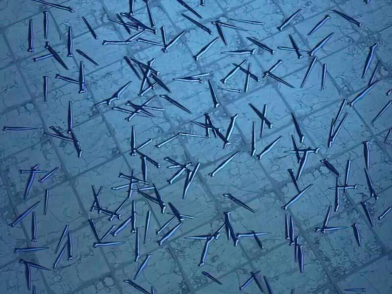 Túy Kiếm Dạ Hành 13 trang 5